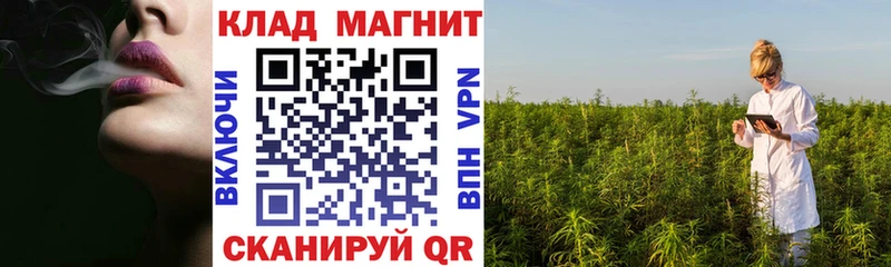 Псилоцибиновые грибы Жуковка