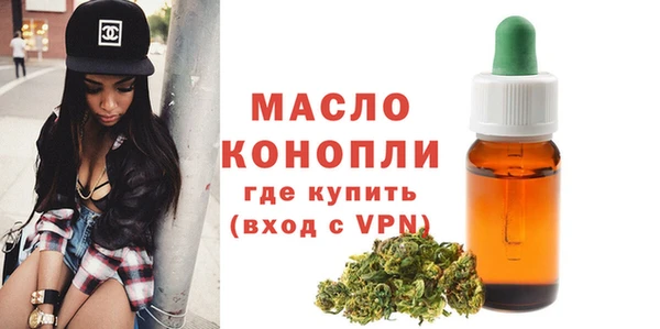 шишки Гусиноозёрск